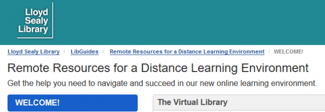 Screen capture of the Remote Resources for a Distance Learning Environment guide